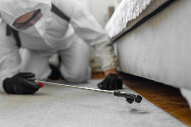 Professional Pest Control technician working in Plainview, NY
